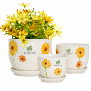 Hlukana Ceramic Plant Pots Set of 3 with Drainage & Saucers