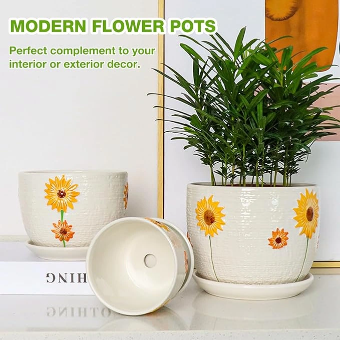 Hlukana Ceramic Plant Pots Set of 3 with Drainage & Saucers - Image 4