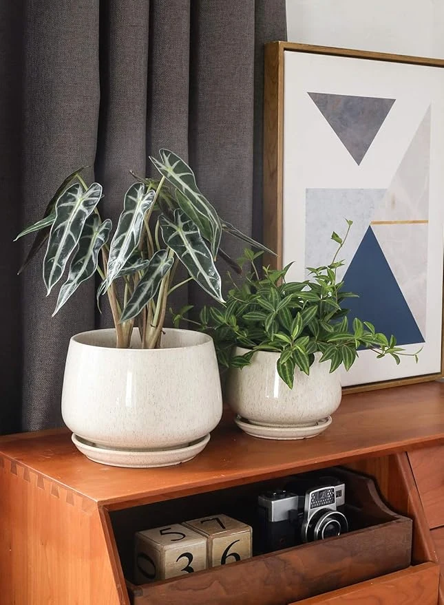 LeafLoop Classic Ceramic Planter Set - Image 3