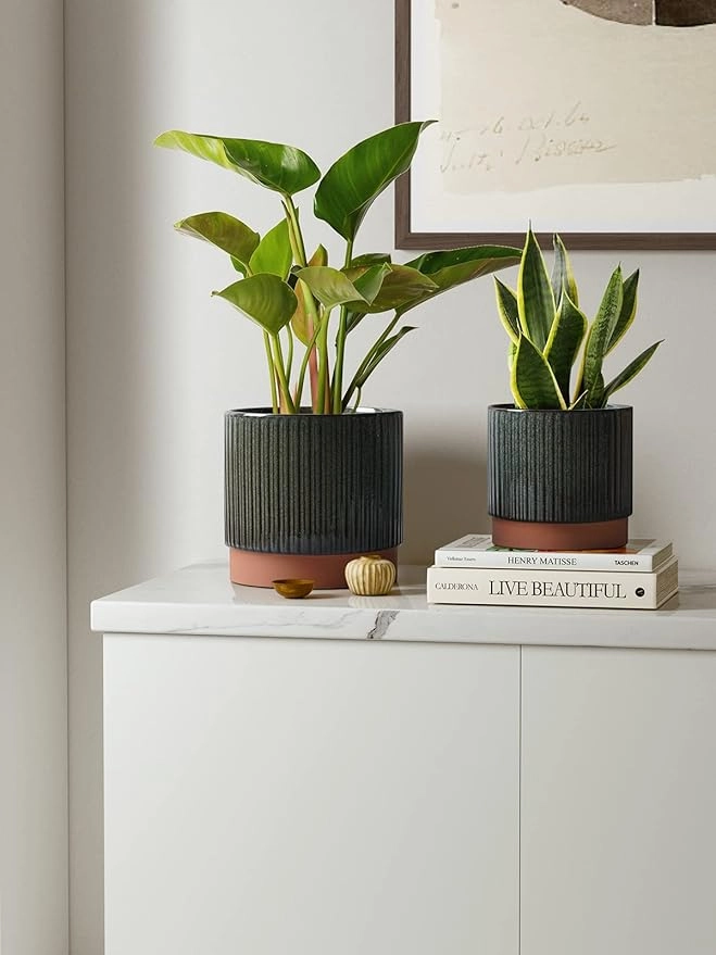 LeafLoop Ribbed Ceramic Planter Set - Image 2