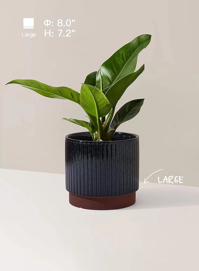LeafLoop Ribbed Ceramic Planter Set - Image 3