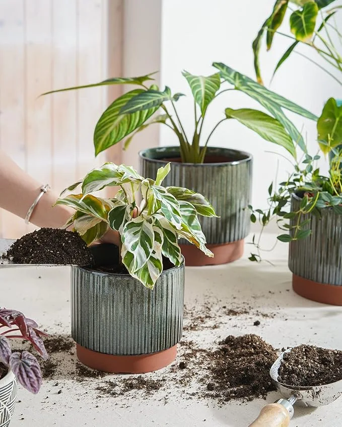 LeafLoop Ribbed Ceramic Planter Set - Image 4