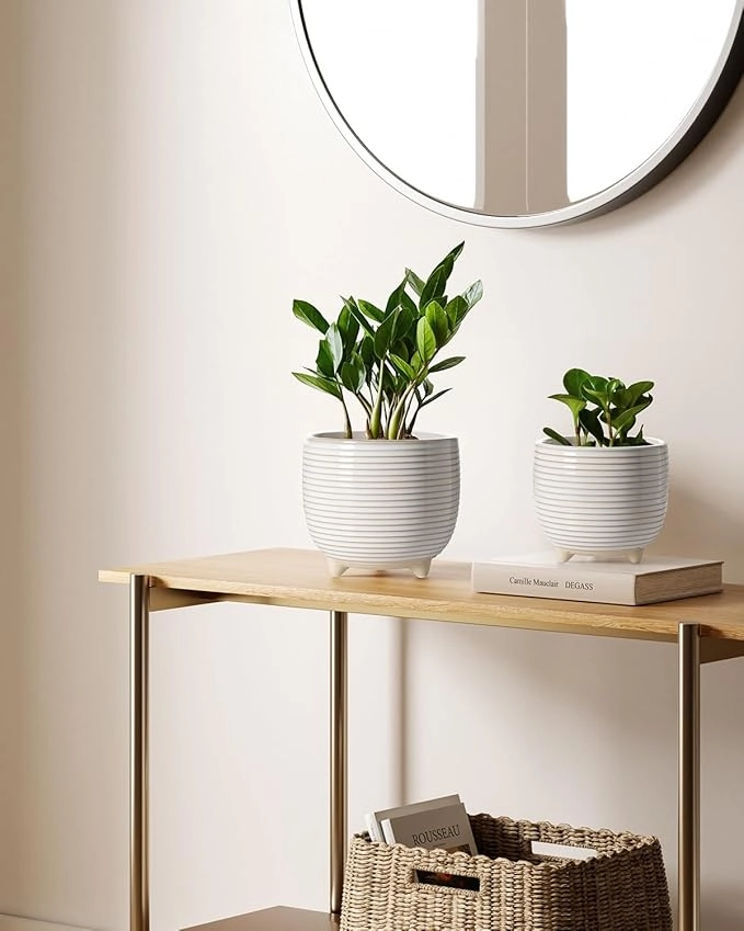 LeafLoop Ribbed Ceramic Planter Set - Image 4