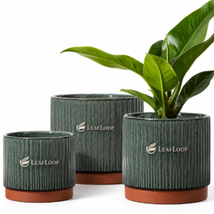 LeafLoop Ribbed Ceramic Planter Set