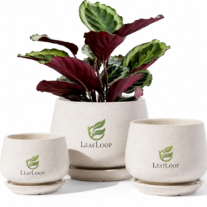 LeafLoop Classic Ceramic Planter Set