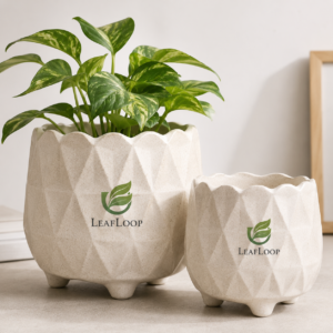 LeafLoop Geometric Ceramic Planter