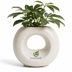 LeafLoop Modern Ring Ceramic Planter